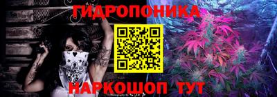 молекула духа Можайск