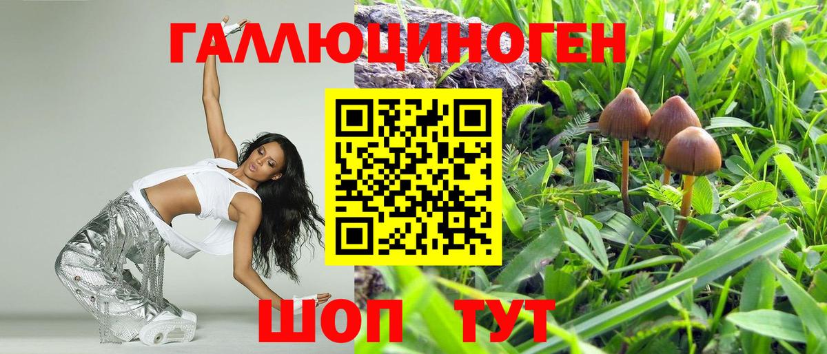 Тобольск  Галлюциногенные грибы GOLDEN TEACHER  Вход с VPN 